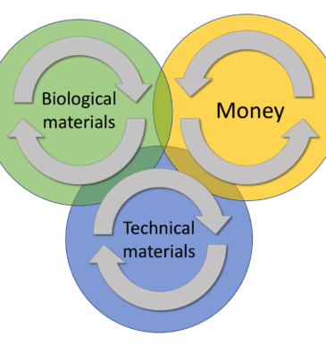 Money and the circular economy